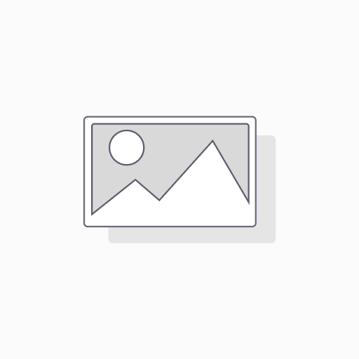 Public Sector Technician Member    